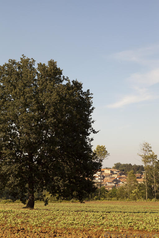 Agriturismo Creta Rossa Torre di Ruggiero Exterior photo